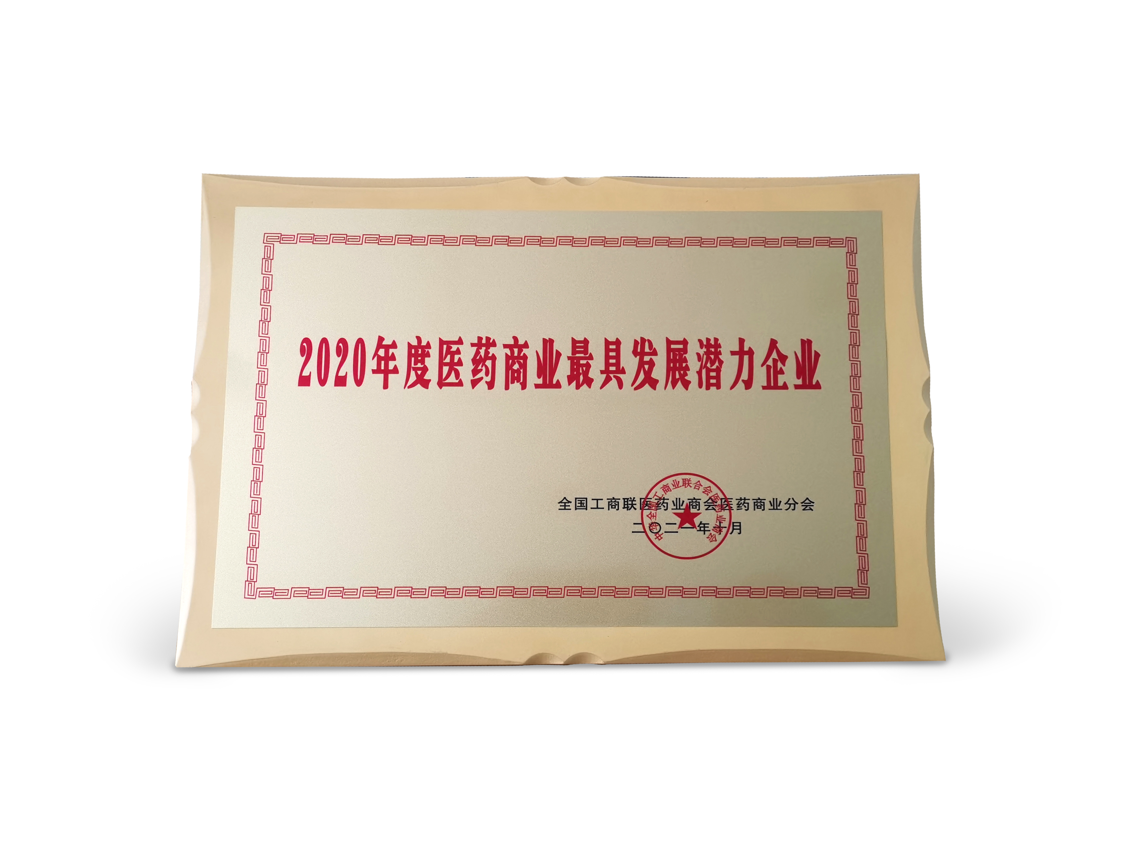 202110-2020年度醫藥商業(yè)發(fā)展潛力企業(yè).jpg